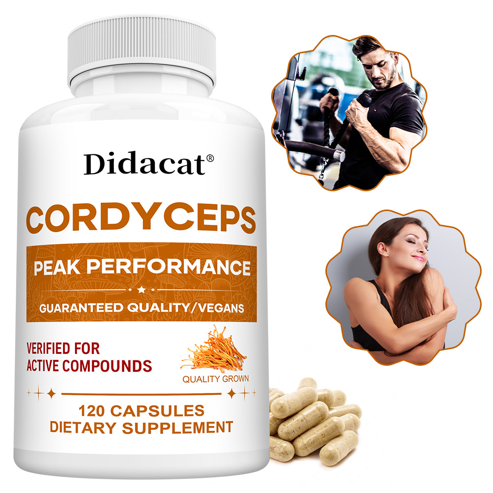 Health Wellness Day - 冬虫夏草カプセル 1000mg、自然健康補助食品、脳、エネルギー、スタミナ、免疫、心臓血管の健康をサポートします