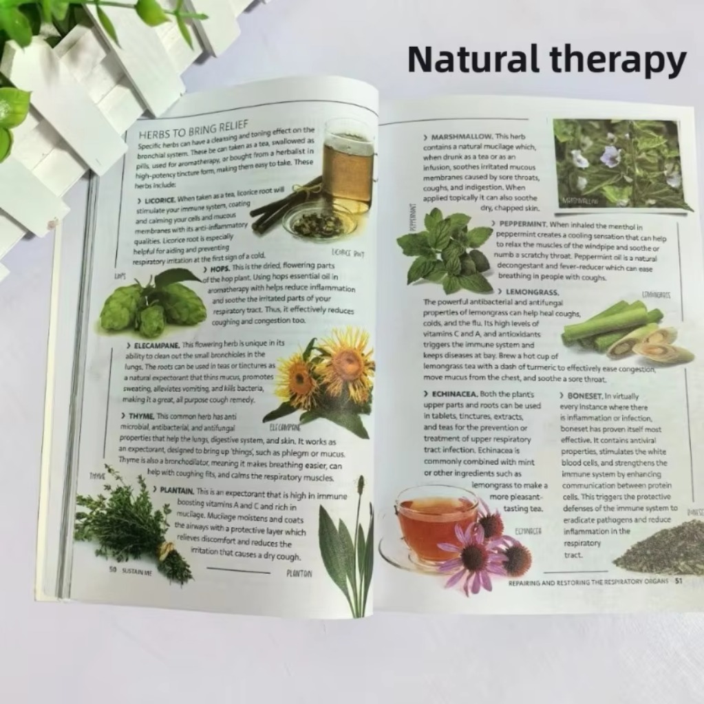 バーバラ・オニール著『自然療法ハンドブック』9：健康の基盤と - Health Wellness And Lifestyle のレビューと価格